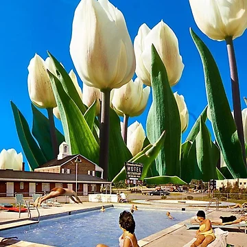 Artwork thumbnail, Pool Day by _InTheGreenhouse