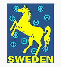 SCHWEDEN-PFERD Fotodruck