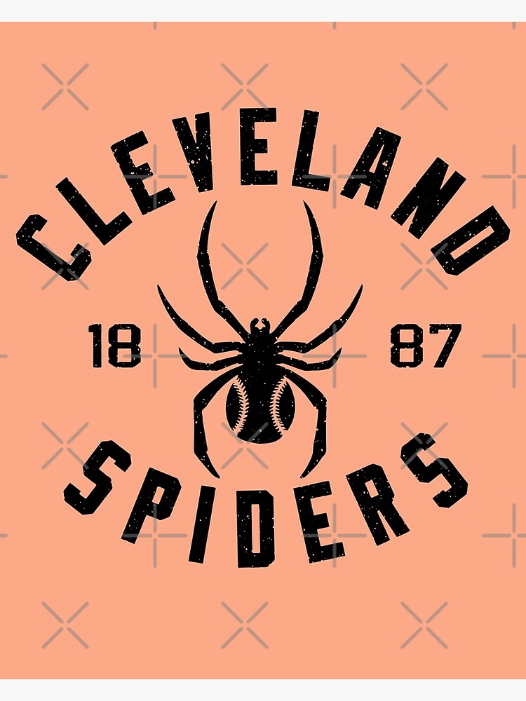 Cleveland Spiders (Defunct Team) Poster for Sale by YesterTeams