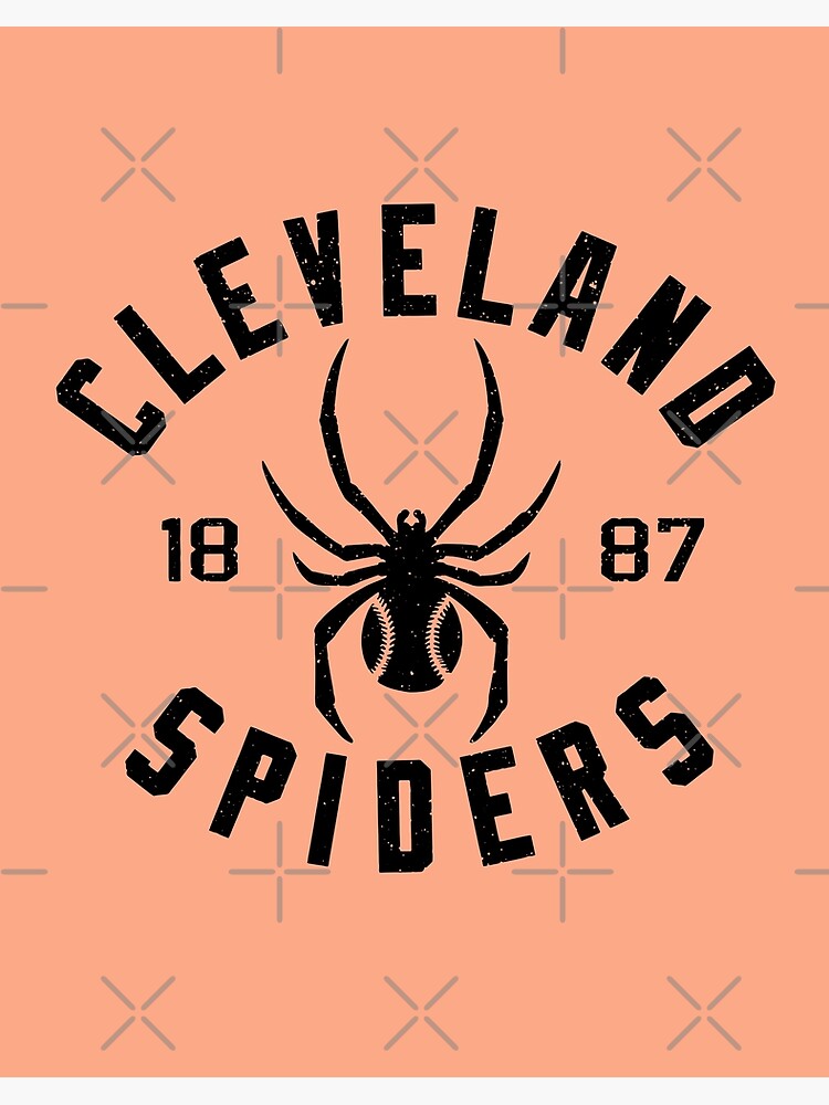 Cleveland Spiders 1887 Defunct - Cleveland - Posters and Art