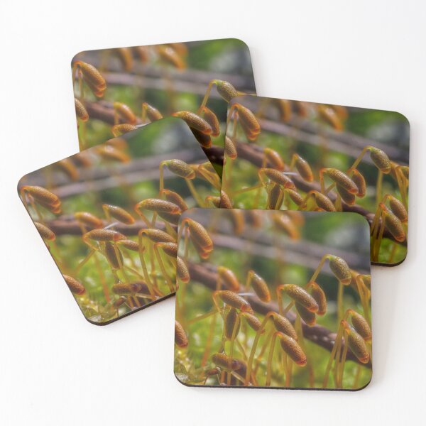 Item preview, Spring in the moss 2 designed and sold by Veikko  Suikkanen.