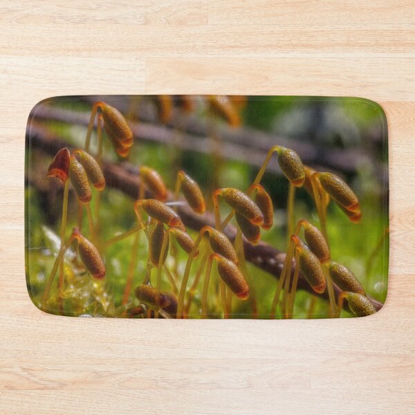Item preview, Spring in the moss 2 designed and sold by Veikko  Suikkanen.