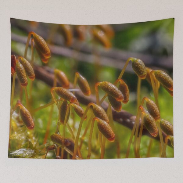 Item preview, Spring in the moss 2 designed and sold by Veikko  Suikkanen.