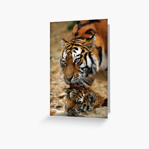 Mother's Love Greeting Card