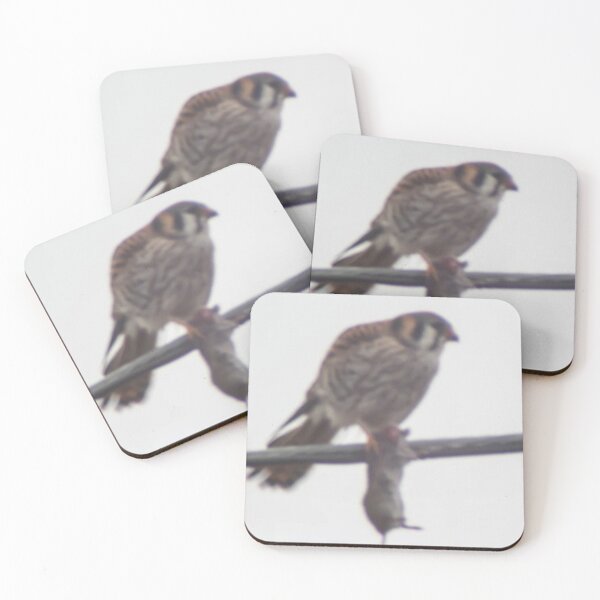 Item preview, Bird and Prey designed and sold by CSturgill2.