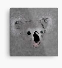 Grey Koala Metal Print