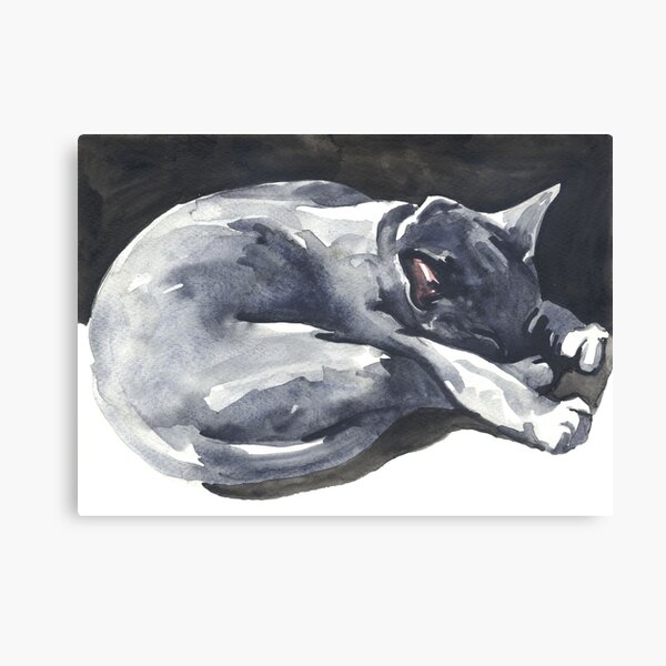 Cat Naps: The Superhero Canvas Print