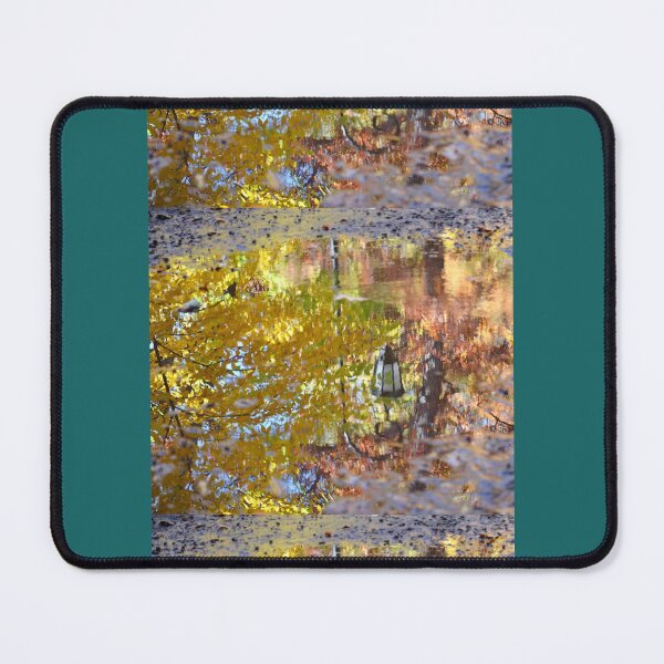 Item preview, Wellesley lamppost reflection Graphic designed and sold by Limvintage.