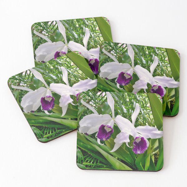 Item preview, Laelia Purpurata Orchid designed and sold by Susan Maxwell Schmidt.