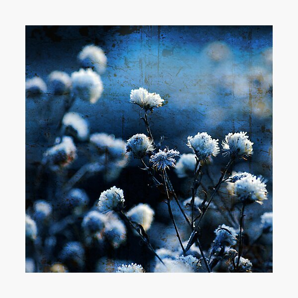 Bokeh bleu Impression photo