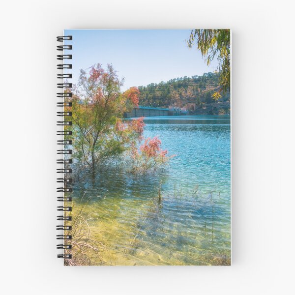 Item preview, Trees in the water at Amadorio designed and sold by Ralph Goldsmith.