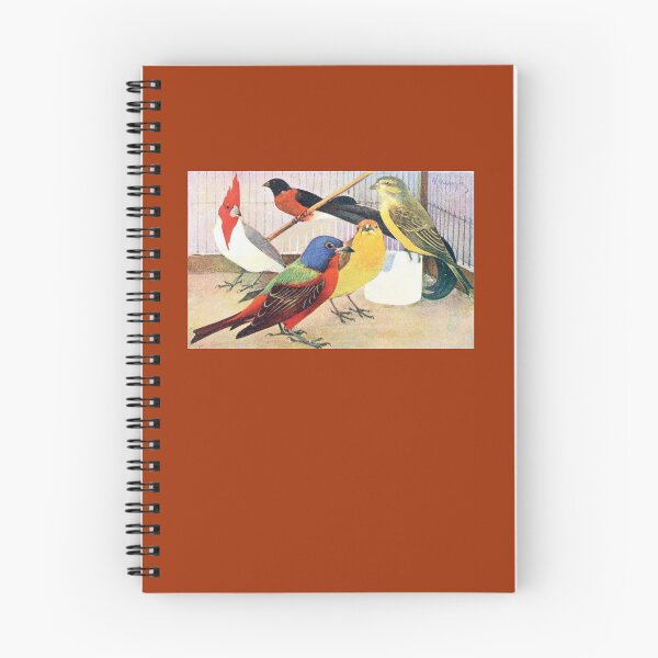 Aperçu de l'œuvre Collection Vintage Bunting, Cardinal, Finch, Canary et Bird of Paradise créée et vendue par StudioMollymook.