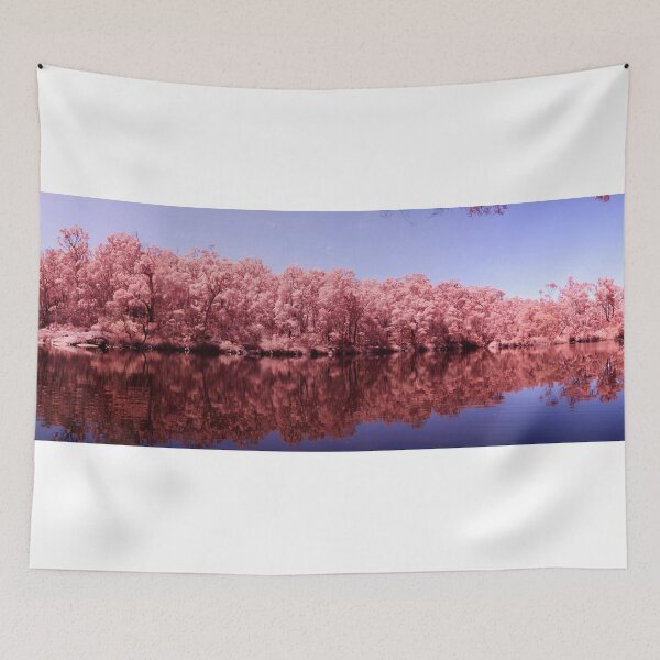 Item preview, Fernhook Falls Rowells Pool pan fs designed and sold by BigAndRed.