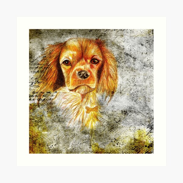 King Charles Spaniel Art Print