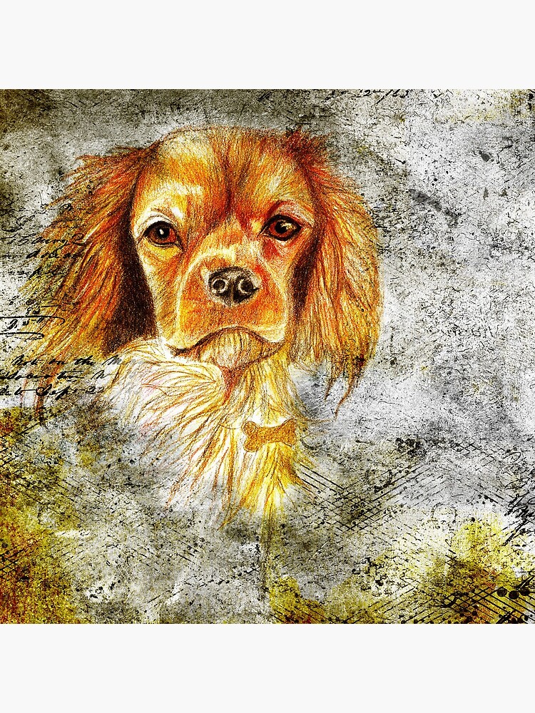 King Charles Spaniel by pjscribble