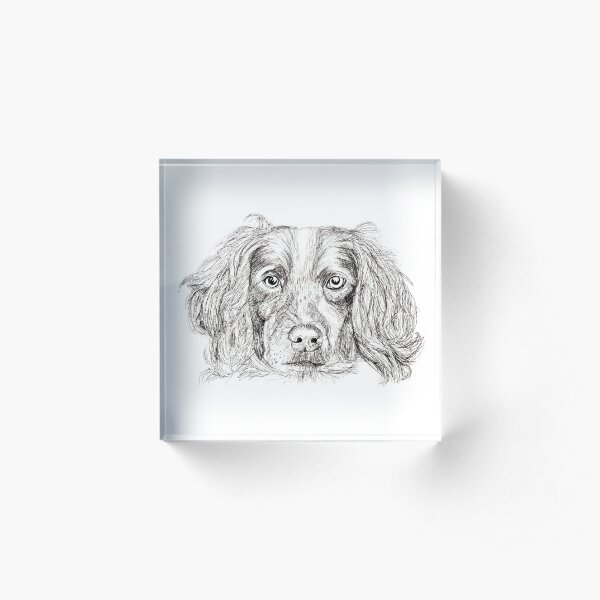 Springer Acrylic Block