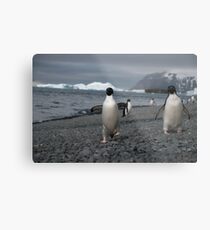 Here come the guys... Metal Print