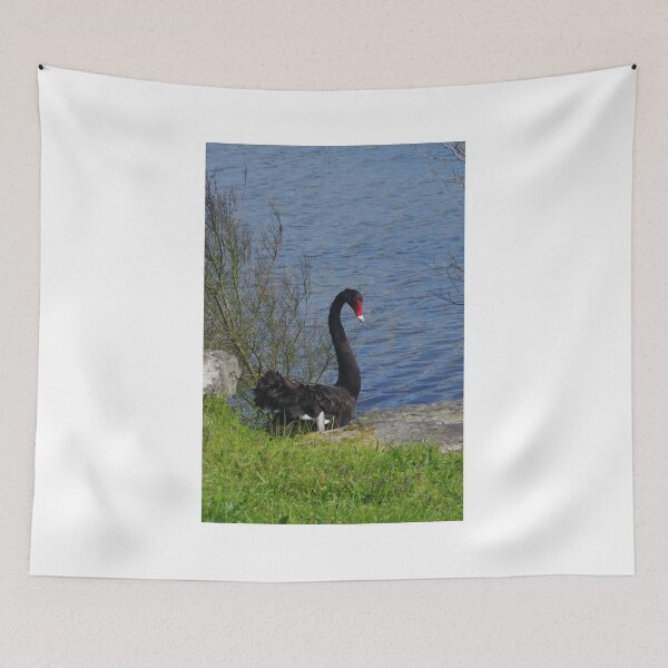 Item preview, Black Swan designed and sold by lezvee.