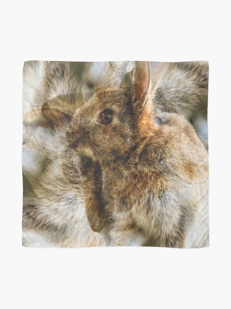 Alternate view of Designs Inspired By Nature: Wild Baby Rabbit Scarf