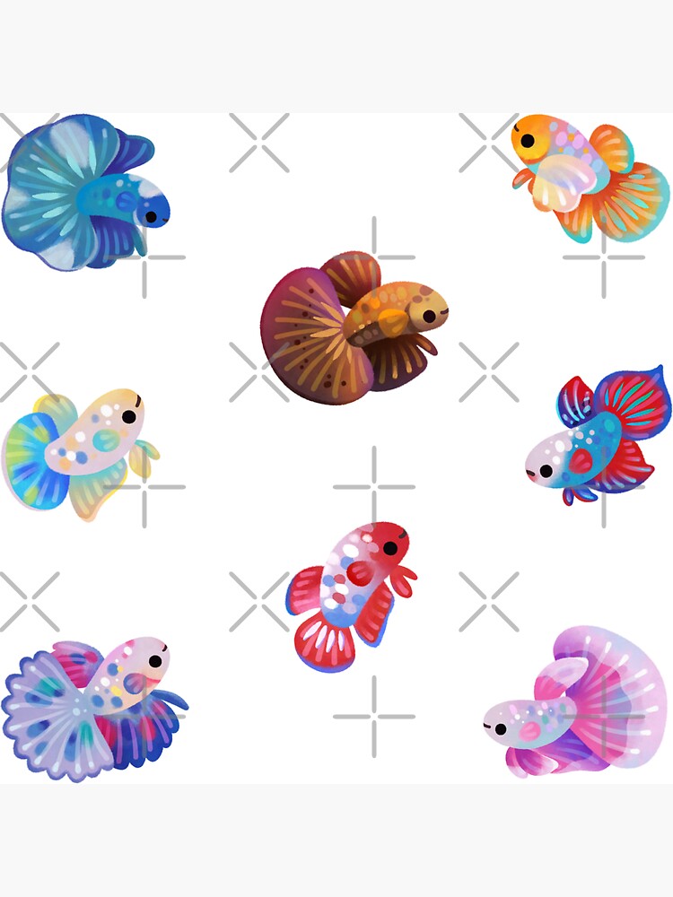Thumbnail 3 of 3, Magnet, Betta 2 designed and sold by pikaole.