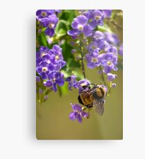 Save The Bumble Bee Metal Print