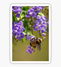 Save The Bumble Bee Sticker