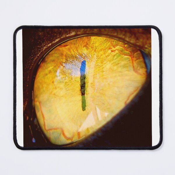 Item preview, Cat eye designed and sold by Hrvoje5000.