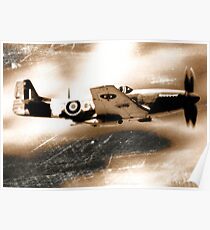 P51 Mustang_01 Poster