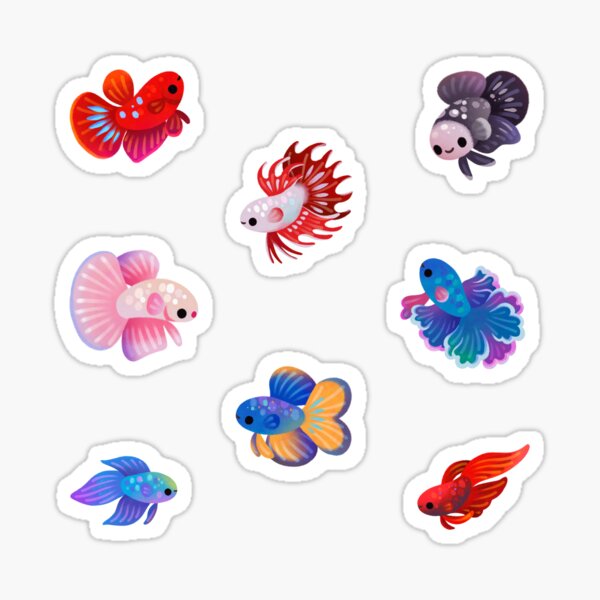 Plakat Betta Fish Sticker/Magnet/Cling - Buy Betta Fish Stickers – AQUAPROS