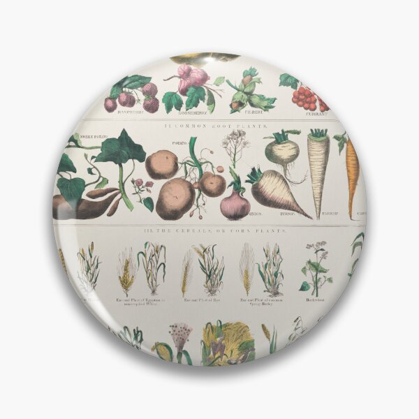 Item preview, Vintage poster botanical economical uses of plants 1890 designed and sold by djhypnotixx.