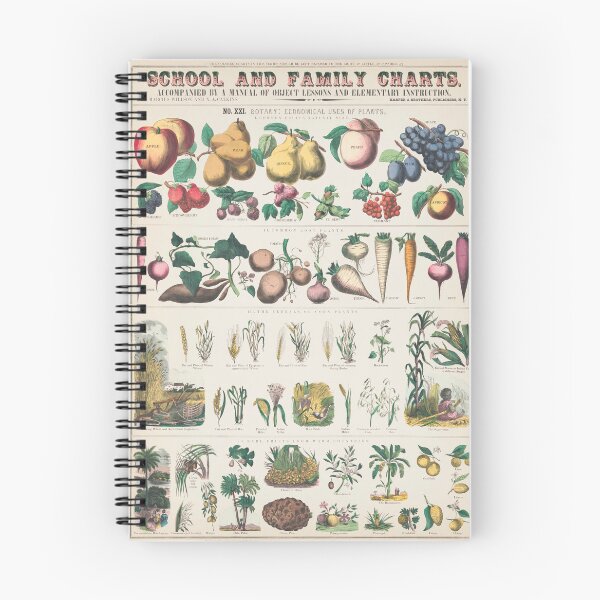 Item preview, Vintage poster botanical economical uses of plants 1890 designed and sold by djhypnotixx.