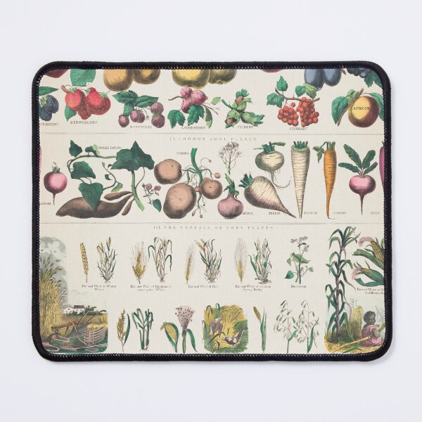 Item preview, Vintage poster botanical economical uses of plants 1890 designed and sold by djhypnotixx.