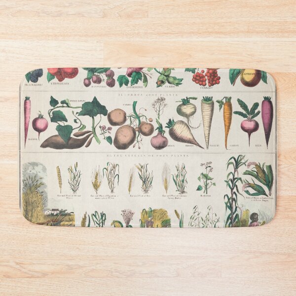 Item preview, Vintage poster botanical economical uses of plants 1890 designed and sold by djhypnotixx.