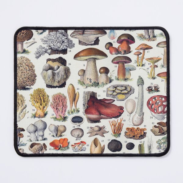 Item preview, Adolphe Millot - Vintage French botanical Illustration - Champignons designed and sold by cutesy.