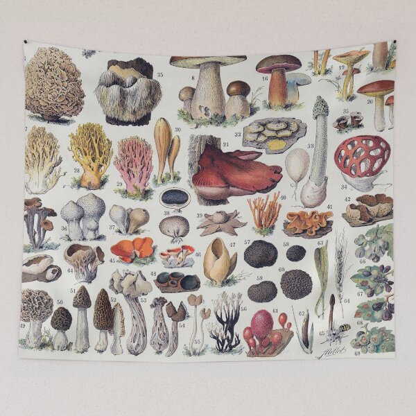 Item preview, Adolphe Millot - Vintage French botanical Illustration - Champignons designed and sold by cutesy.