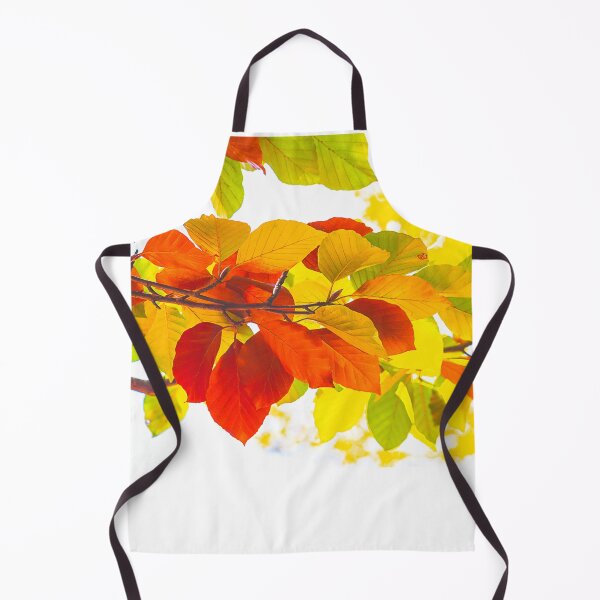 Aperçu de l'œuvre Feuilles colorées sur fond blanc créée et vendue par ea-photos.