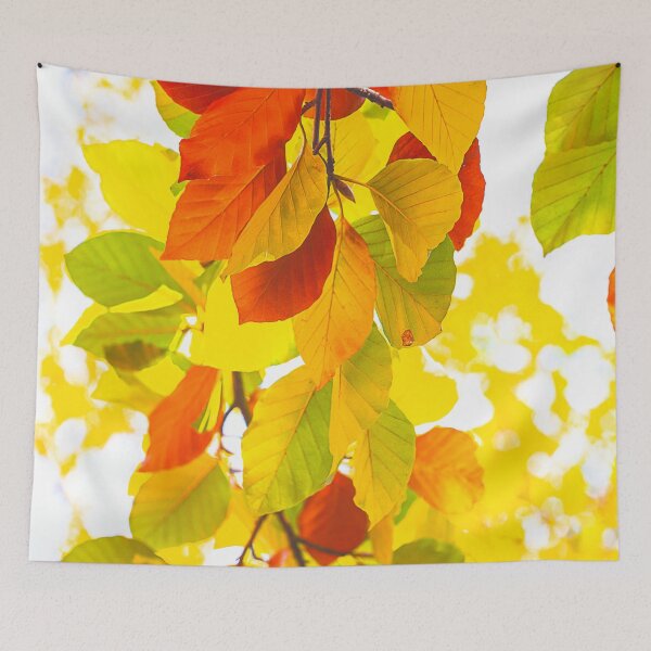 Item preview, Colourful leaves on a white background designed and sold by ea-photos.