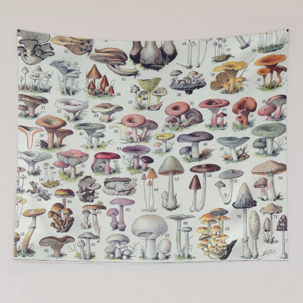 Item preview, Adolphe Millot - Vintage Mushroom Poster - Champignons designed and sold by cutesy.
