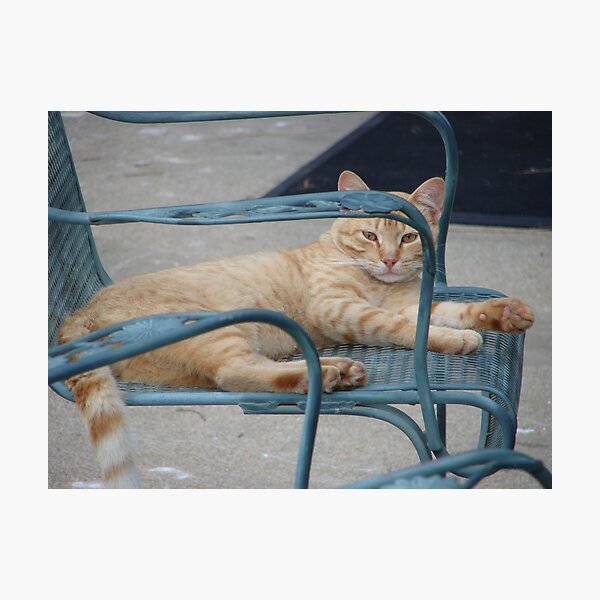 Artikelvorschau, Garfield entworfen und verkauft von inventor.