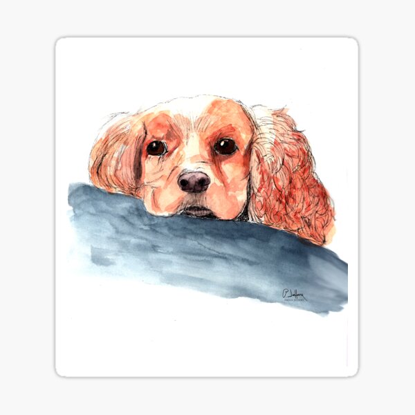 Cocker Spaniel Sticker
