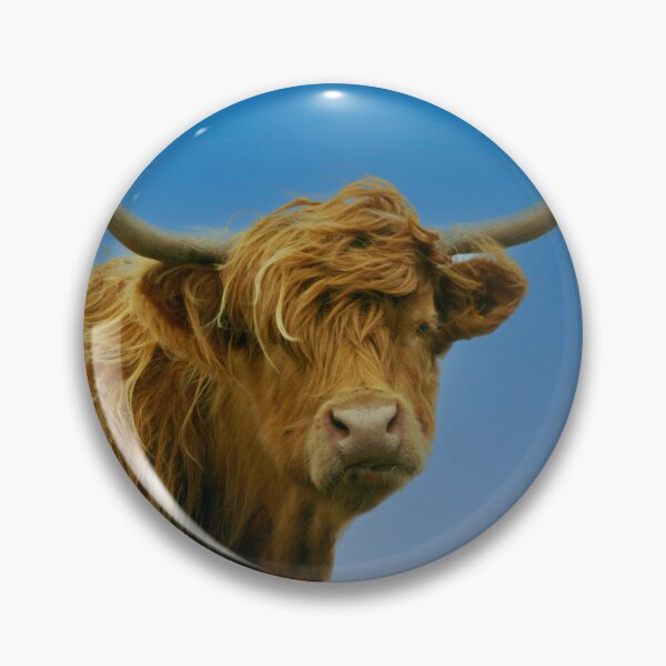 Item preview, Highland Cow designed and sold by Philip Butler.