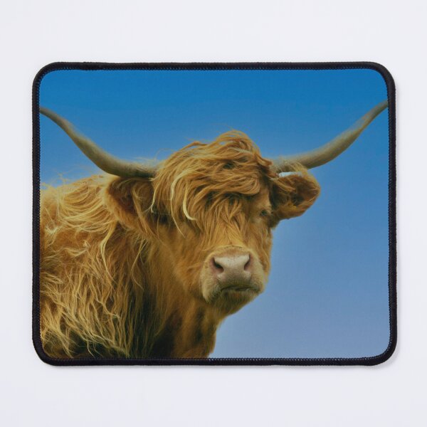 Item preview, Highland Cow designed and sold by Philip Butler.