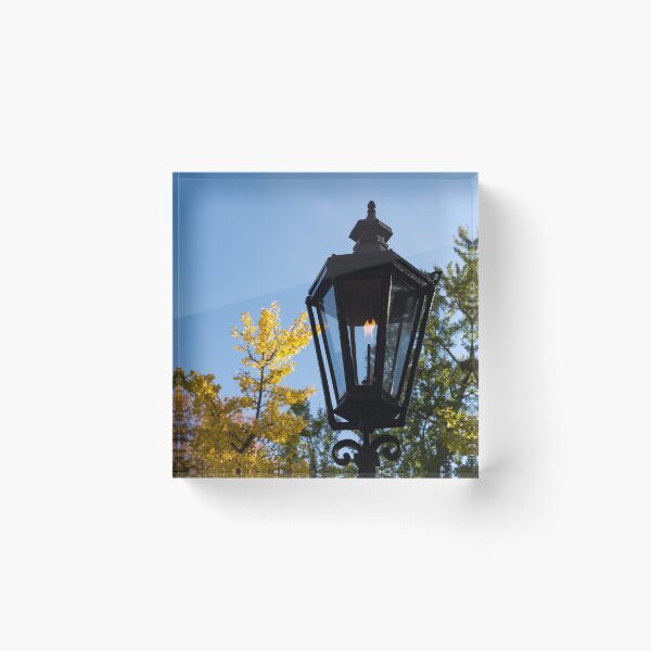 Item preview, One Fine Autumn Day With an Antique Gas Lantern designed and sold by Georgia Mizuleva.