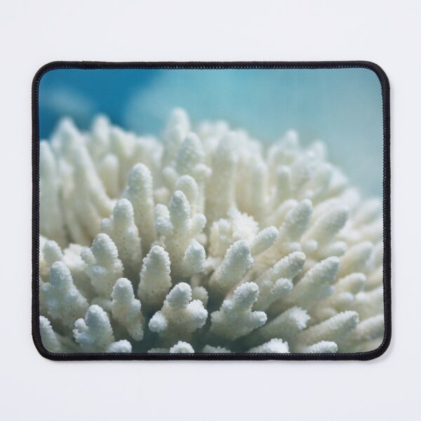 Item preview, White soft coral Sinularia, marine life, close up underwater background designed and sold by Familyshmot.