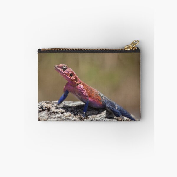 Item preview, Agama Lizard designed and sold by Scott Carr.