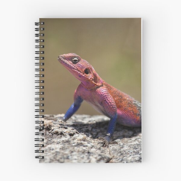 Item preview, Agama Lizard designed and sold by Scott Carr.