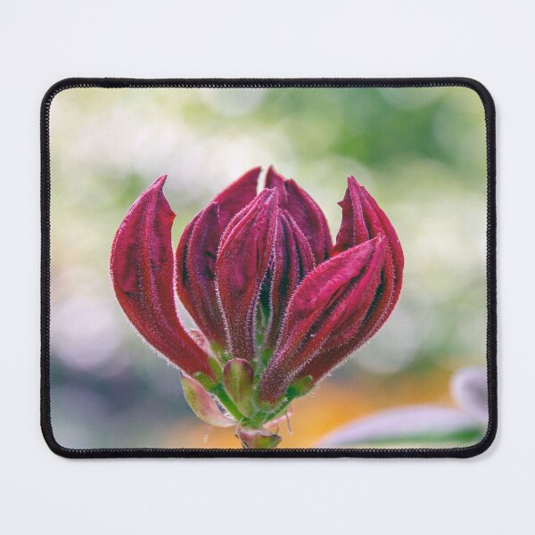 Item preview, Flower head designed and sold by Philip Butler.