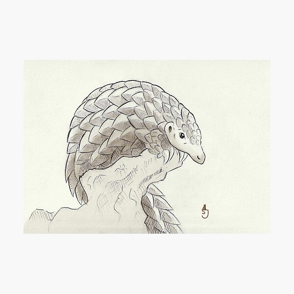 Item preview, Small pangolin designed and sold by Feliforina.