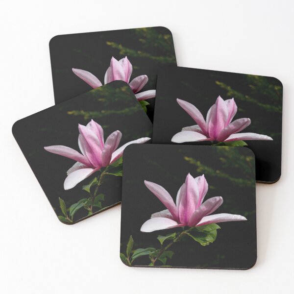 Item preview, Magnolia flower designed and sold by Philip Butler.