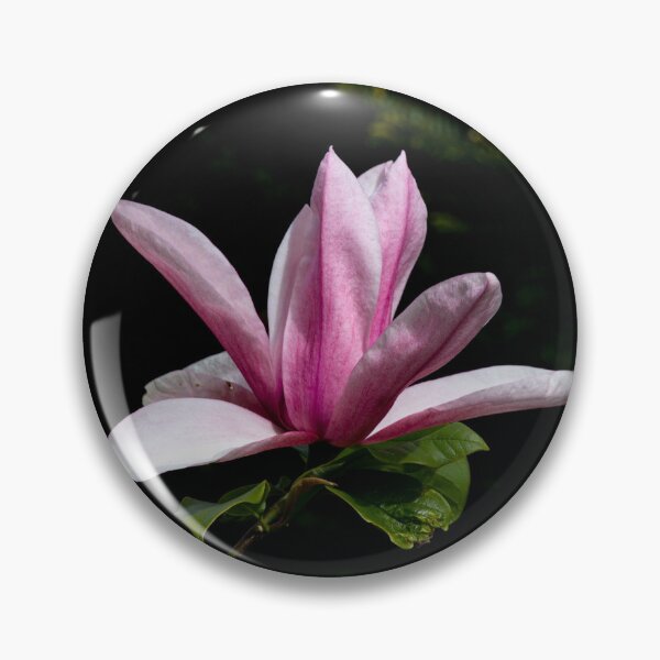 Item preview, Magnolia flower designed and sold by Philip Butler.